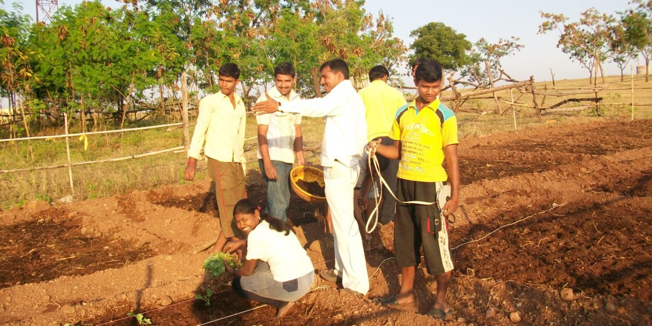 Abundance Farming Project at Vigyan Ashram